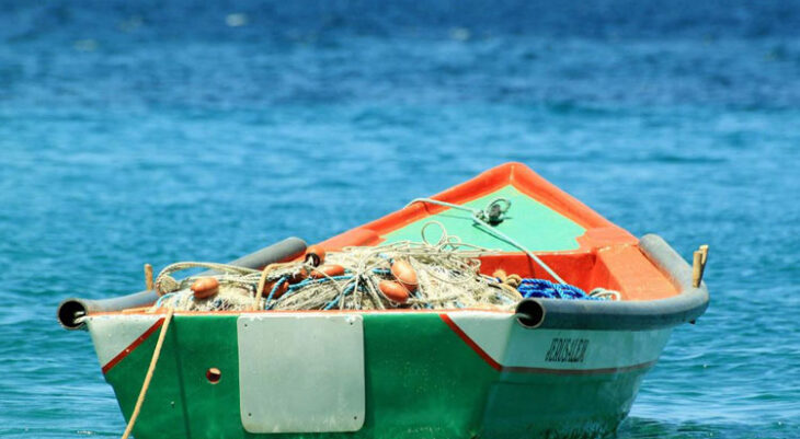Overfishing Biologists Warn Fishermen
